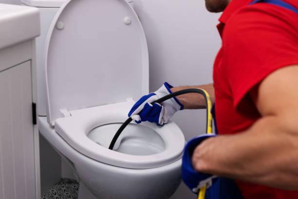Best Plumbing Services Near Me  in Ecorse, MI